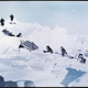 Image for article titled These incredibly vivid color photos of Antarctica were taken in 1915